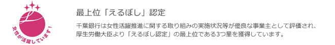 最上位「えるぼし」認定