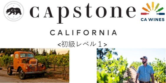 キャップストーン・カリフォルニア 初級レベル1