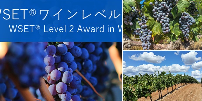 WSET Level2をとるべきか？