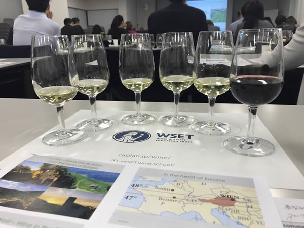 The perfect complement to WSET and Sommelier courses